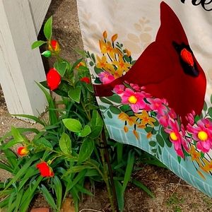 Meet your Posher, Judy